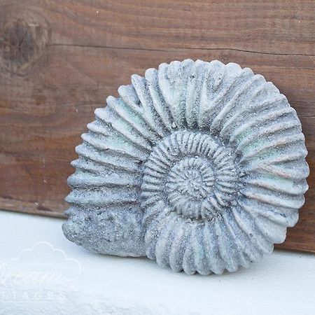 Ammonite Cottage Portland Eksteriør billede